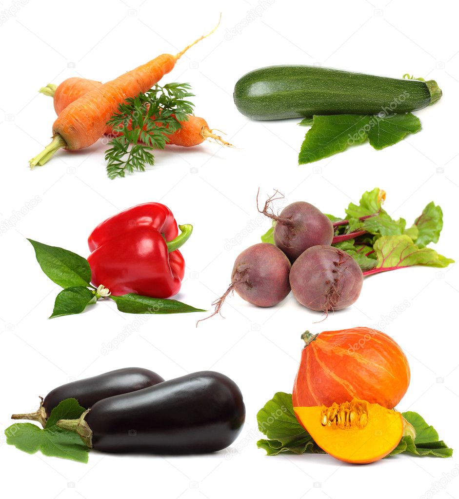 Vegetable set isolated on white background - collage