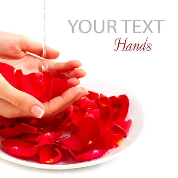 Hands Spa. Manicure concept over white - background — Stock Photo, Image