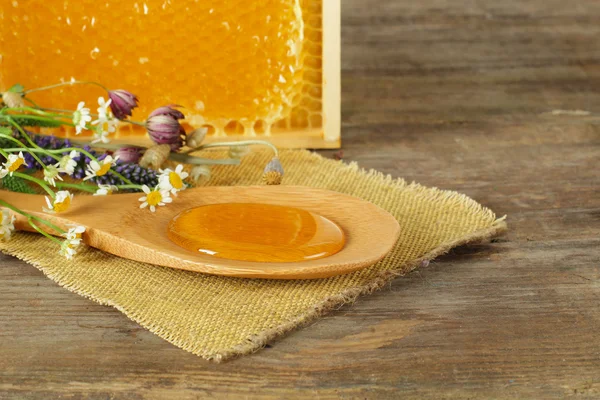 Honey and honeycomb — Stock Photo, Image