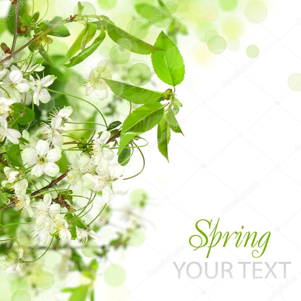 Spring blossom border - abstract floral background