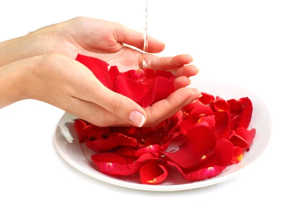 修指甲-与法国彩色指甲、 红色的玫瑰花瓣和 w 的手 — 图库照片