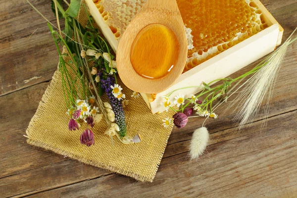 Summer background - honey and flowers — Stock Photo, Image