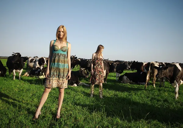 Dziewczyny bardzo krowy — Zdjęcie stockowe