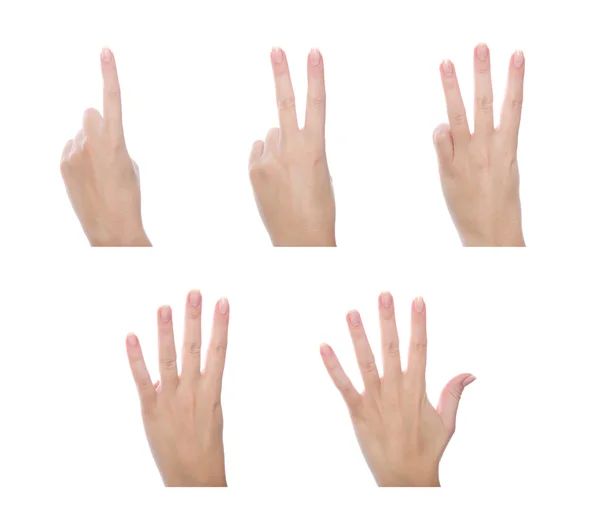 Set van gebaren — Stockfoto