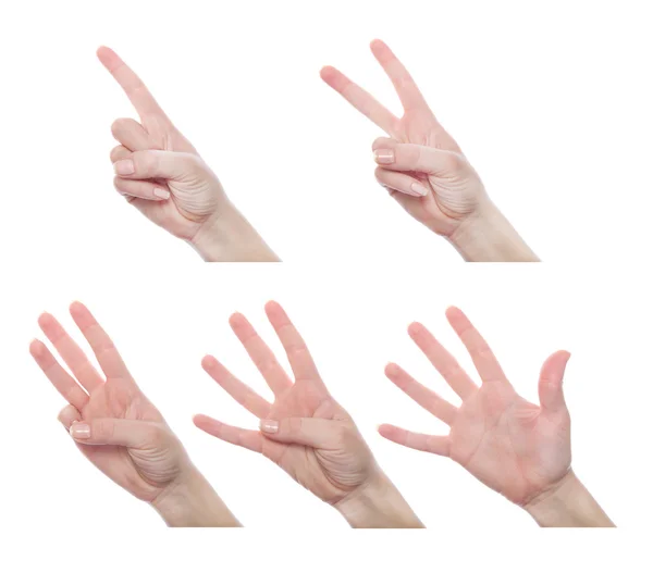 Conjunto de gestos — Fotografia de Stock