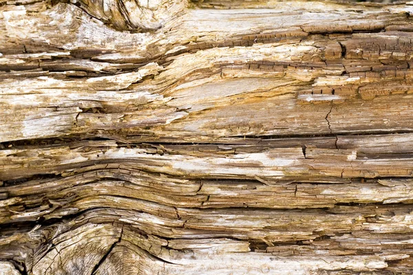 stock image Old wooden texture