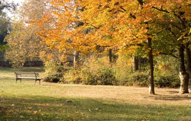 Güzel park