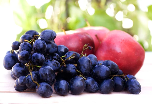 Rijpe druiven — Stockfoto