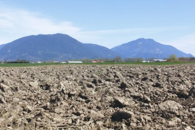 A Ploughed Field clipart