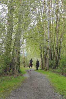 Two Riders and Horses on Trail clipart