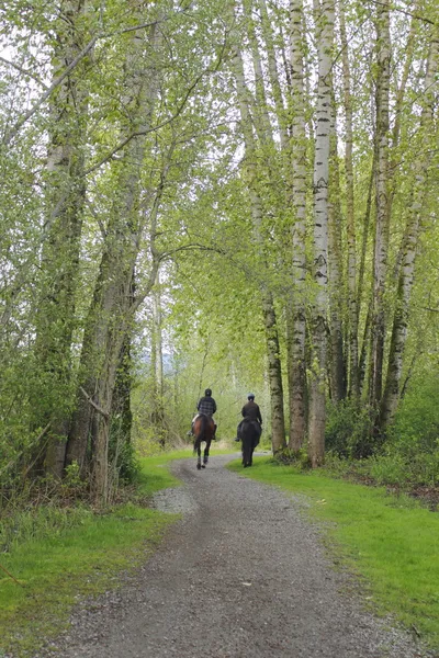 Two Riders and Horses on Trail — Stock Photo, Image