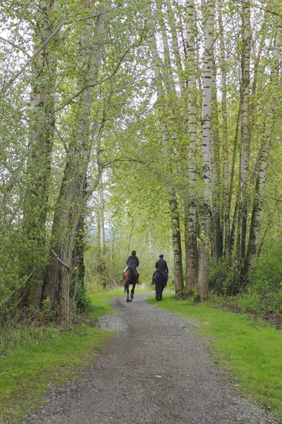 Deux cavaliers et des chevaux sur le sentier — Photo