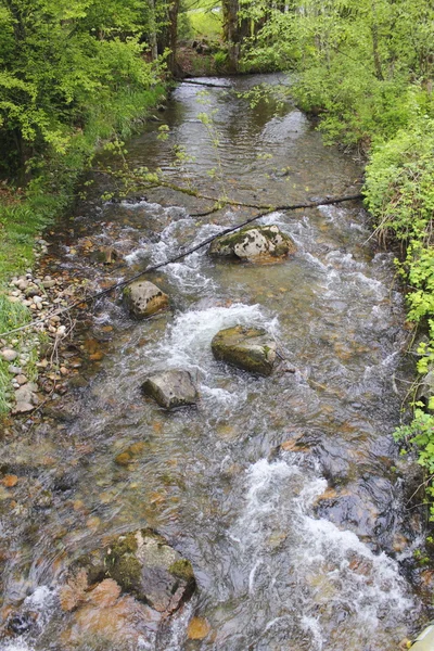 Malý pramen potoka — Stock fotografie