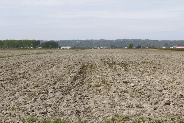 stock image Plowed Acreage