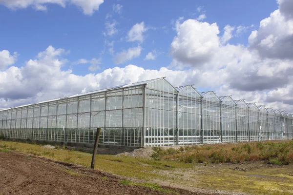 stock image Glass Greenhouses