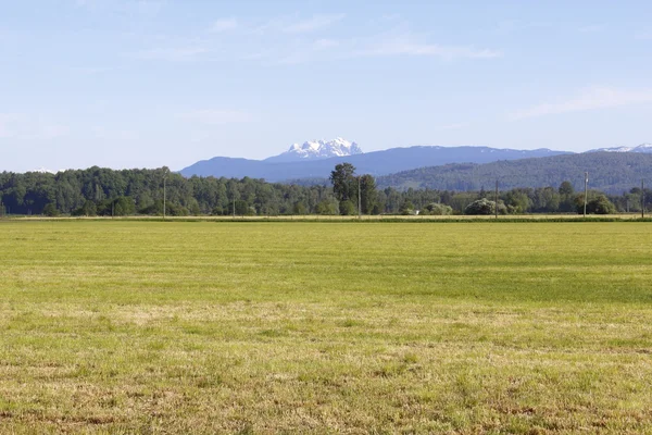 Acreage in the Fraser Valley — Stock Photo, Image