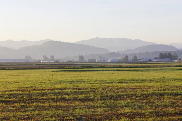 Dağ ve sabah erken tarım arazisi — Stok fotoğraf