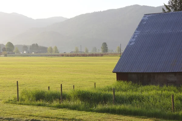 Stock image Early Morning Farmland in the Fraser Valley