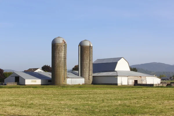 Dwa silosy na farmie — Zdjęcie stockowe