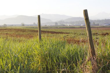 Fence Posts and distant mountains clipart