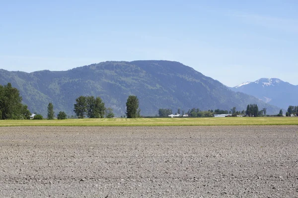 A plowed field in the Fraser Valley — Stock Photo, Image