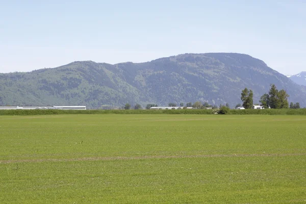 Široce otevřená zemědělská půda v fraser valley — Stock fotografie