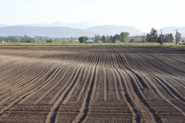 Stock image Plowed Field