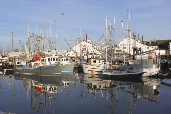 Estação de pesca no Noroeste do Pacífico — Fotografia de Stock