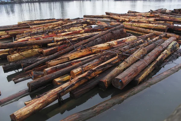 Log boom på en flod — Stockfoto