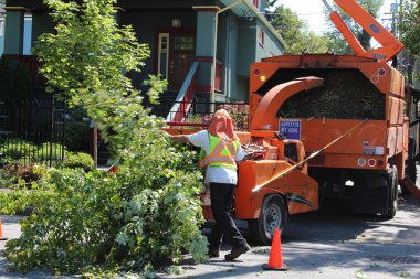 Tree Trimming Crew clipart