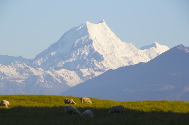 Aoraki