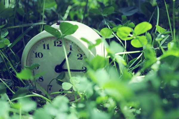 Alarm na trávě — Stock fotografie