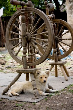 Old spinning wheels clipart