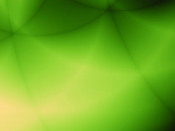Fond d'écran jungle verte — Photo