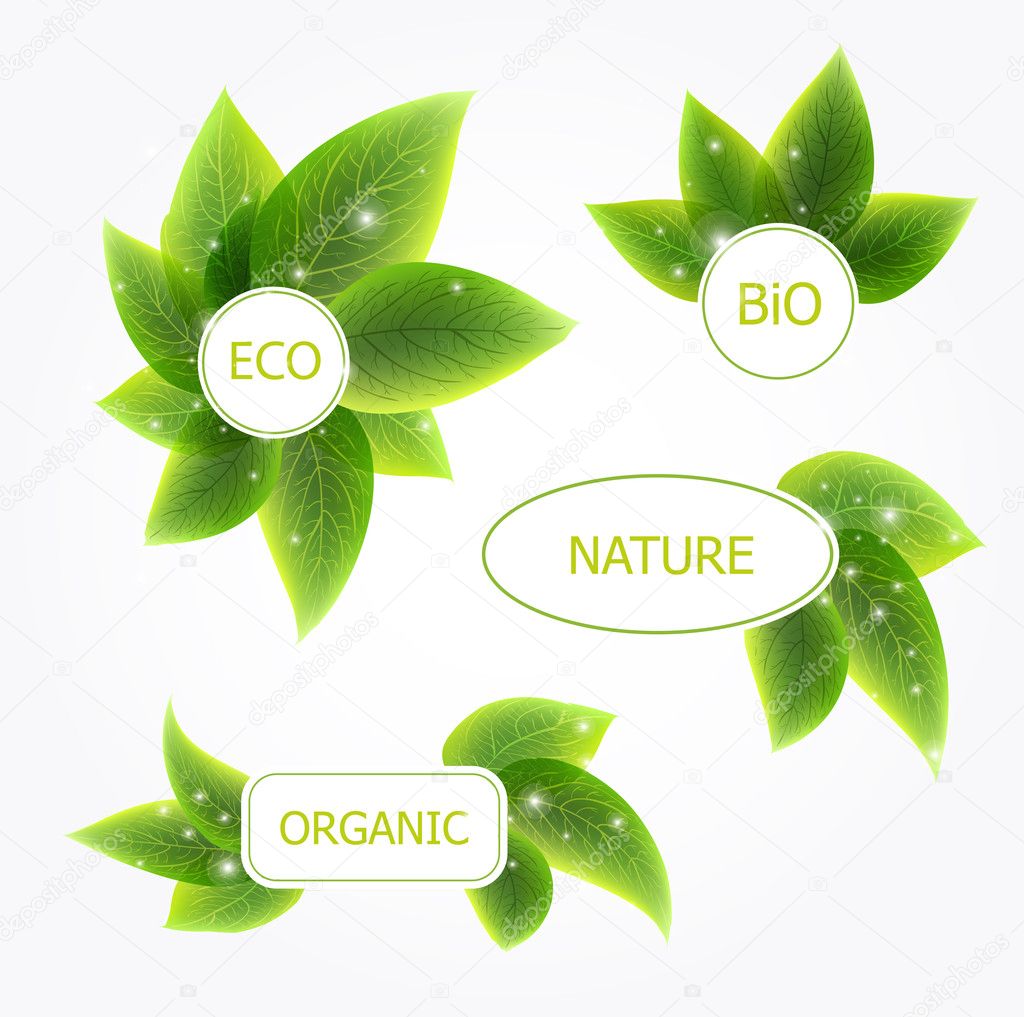 Abstract vector natural banners with leafs
