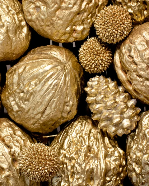 stock image Golden walnuts