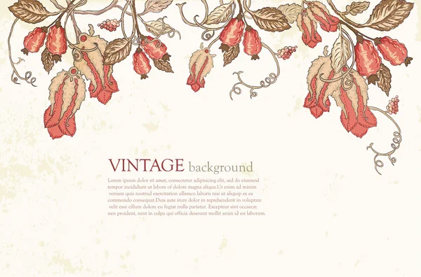 Vintage sfondo floreale — Vettoriale Stock