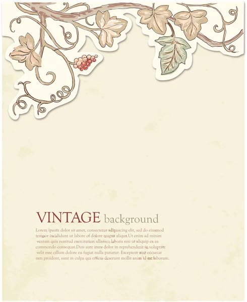 Vintage Floral Background — Stock Vector