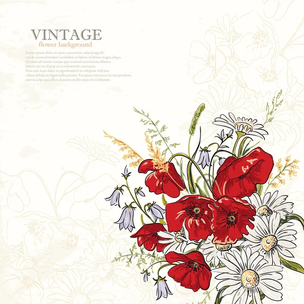Fond élégant avec des fleurs de pavot — Image vectorielle