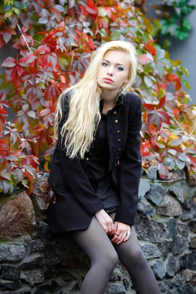 Joven hermosa chica en el fondo de otoño —  Fotos de Stock