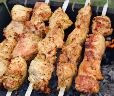 Shashlik (shish kebab) - traditional georgian barbecue clipart