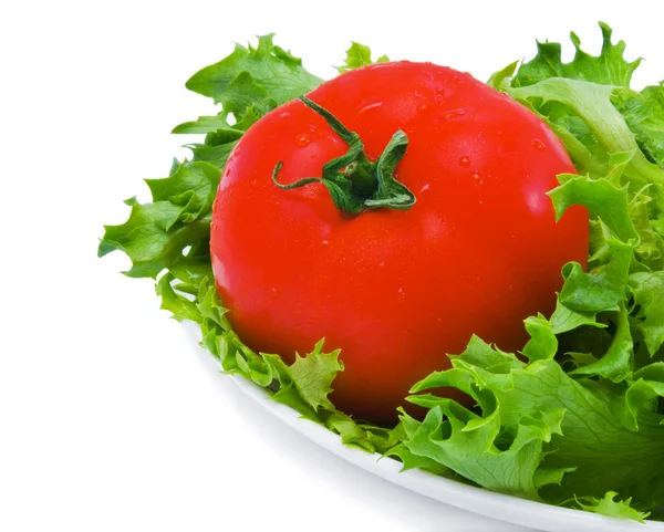 Zelený salát a rajče — Stock fotografie