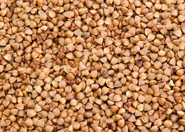 Stock image Buckwheat texture