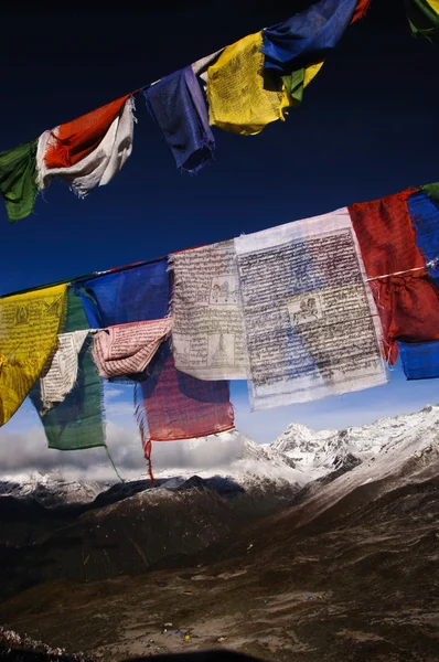Bunte Gebetsfahnen mit Himalaya-Berglandschaft — Stockfoto