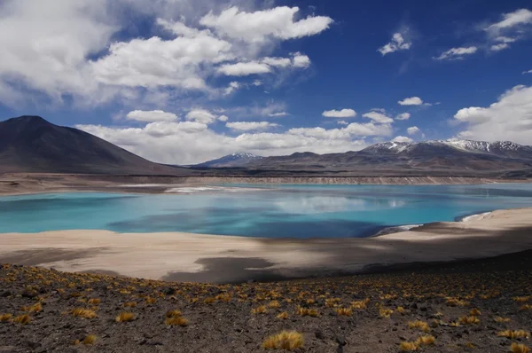 "laguna verde "green lake in the chilean andes altiplano — стоковое фото