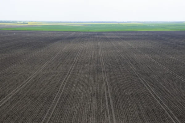 Aerial view of a plowed field — Stock Photo, Image