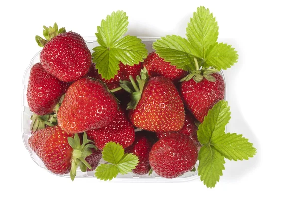 新鲜的草莓，它的叶子 (上白色的孤立与一篮子) 图库图片