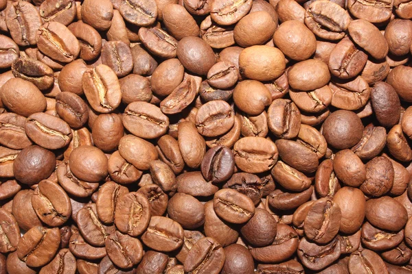 Κοντινό πλάνο κόκκων καφέ — Φωτογραφία Αρχείου