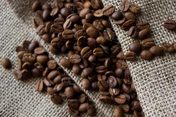 Kaffebønner på fylla – stockfoto