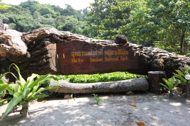 similan Adaları